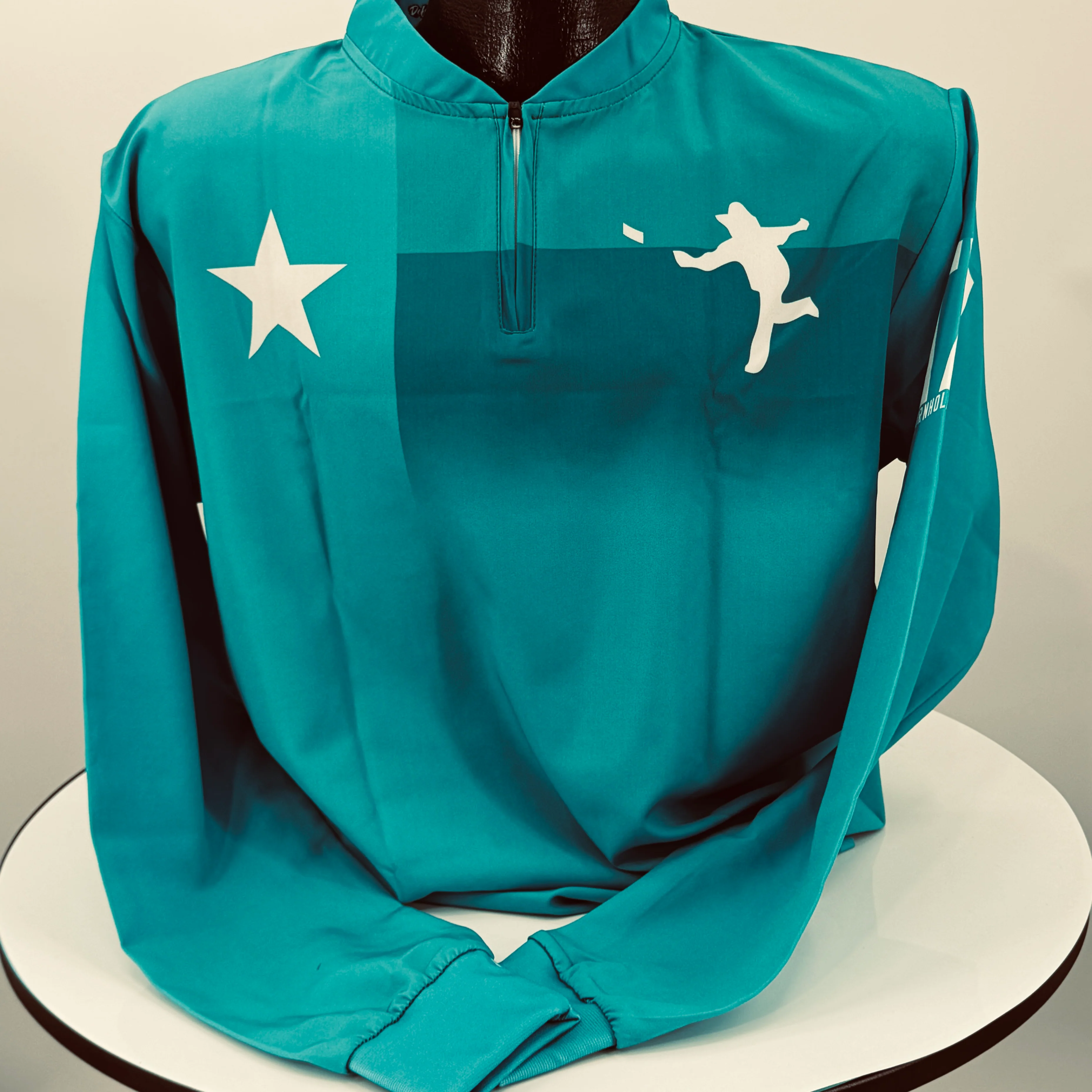 Teal 1/4 Zip TCL Texas Edition Pullover
